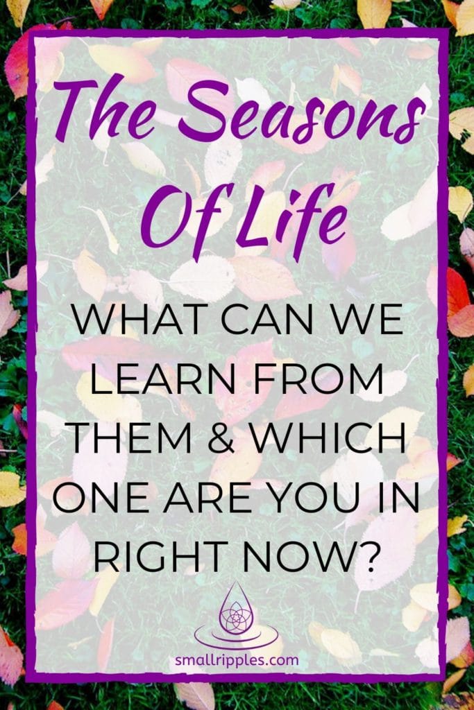 alt="Pinterest pin: The seasons of life: what can we learn from them & which on are you in right now?"