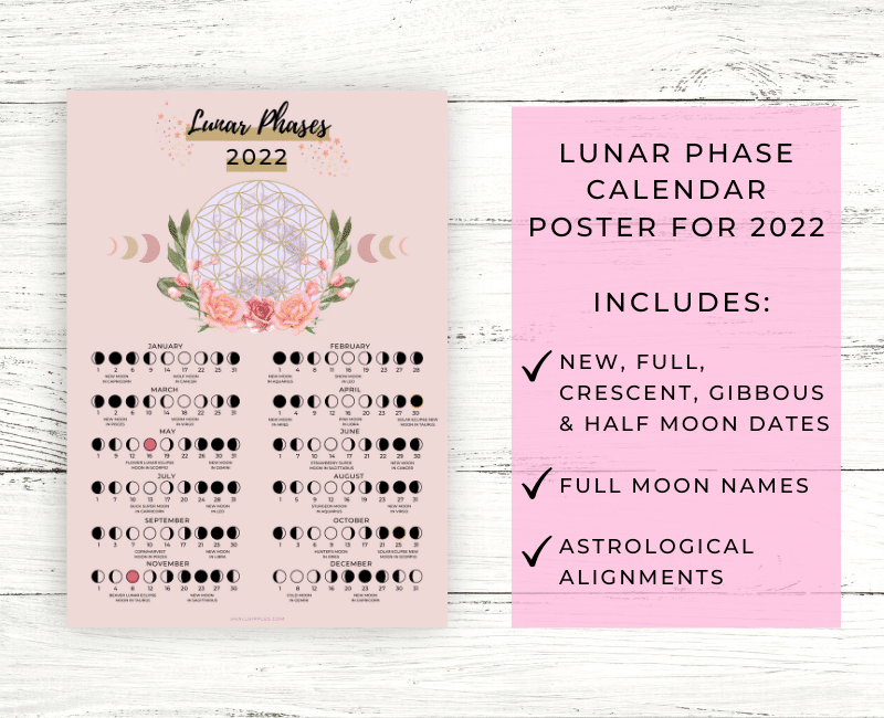 alt="Lunar Phase Calendar Printable Poster"