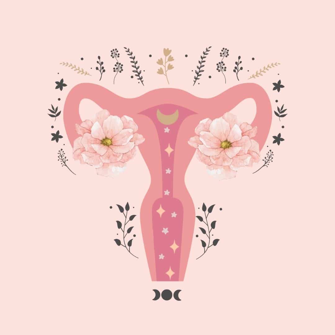 Does your period Align With A Red Moon Cycle or a White Moon Cycle?
